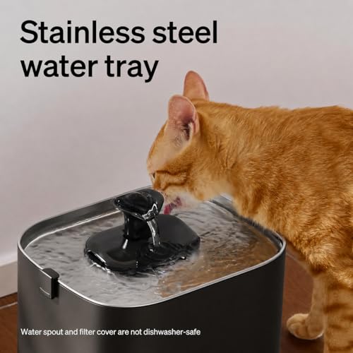 PETLIBRO Upgrade Cat Water Fountain Stainless Steel Tray, Dockstream 2 Cat Fountain Indoor, 3L/101oz Auto Cat Fountains for Drinking, App Monitoring Pet Water Fountain Dog, 5G WiFi Cat Water Dispenser