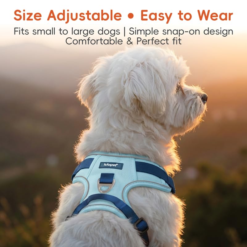 Lulupet Reflective Dog Harness, Leash and Collar Set