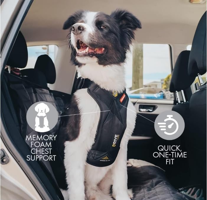 EzyDog Drive Certified Crash-Tested Dog Car Harness