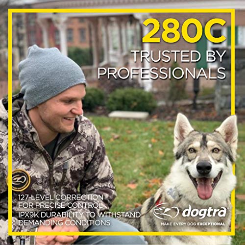 Dogtra 280X Remote Dog Training Collar System