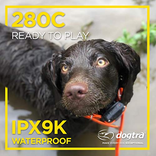 Dogtra 280X Remote Dog Training Collar System