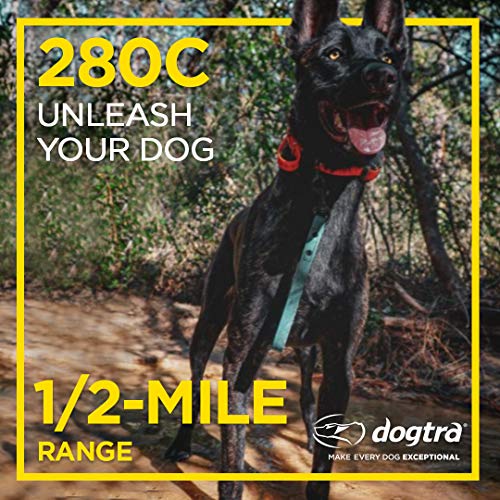 Dogtra 280X Remote Dog Training Collar System