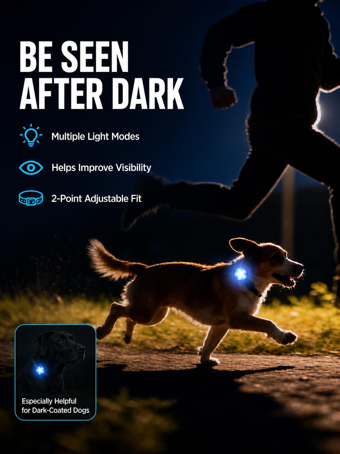 Fyorbietail Rechargeable 8-Mode LED Dog Collar Light