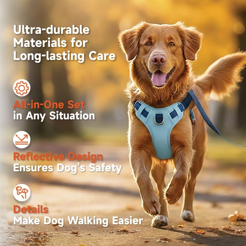 Lulupet Reflective Dog Harness, Leash and Collar Set