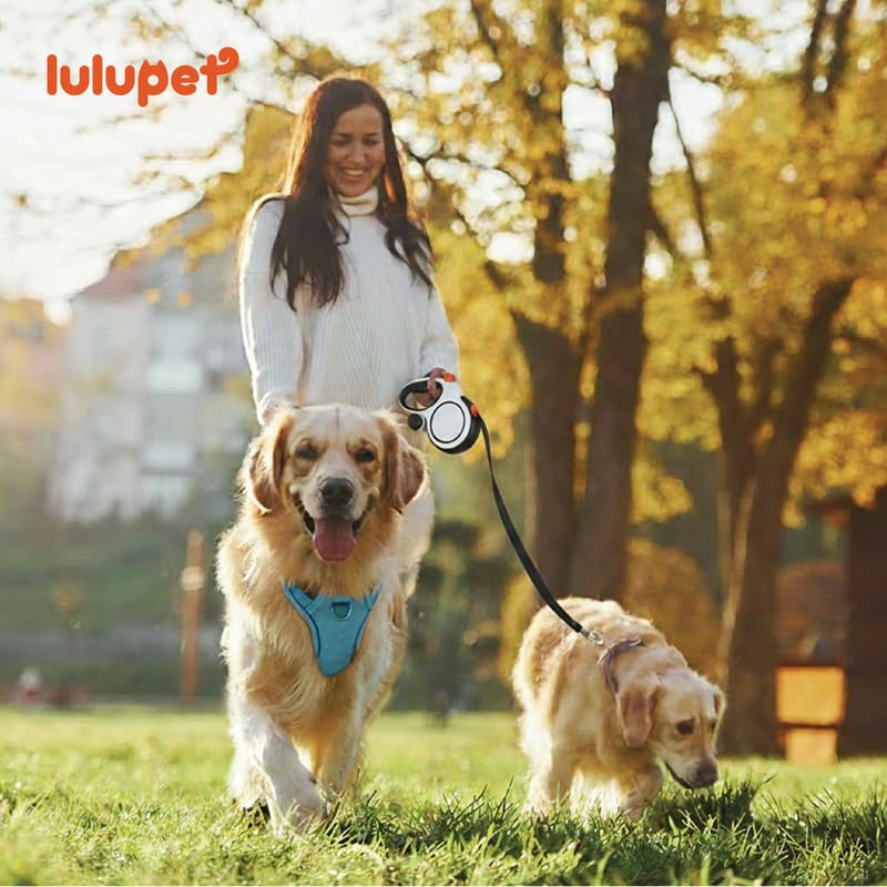 Lulupet Reflective Dog Harness, Leash and Collar Set