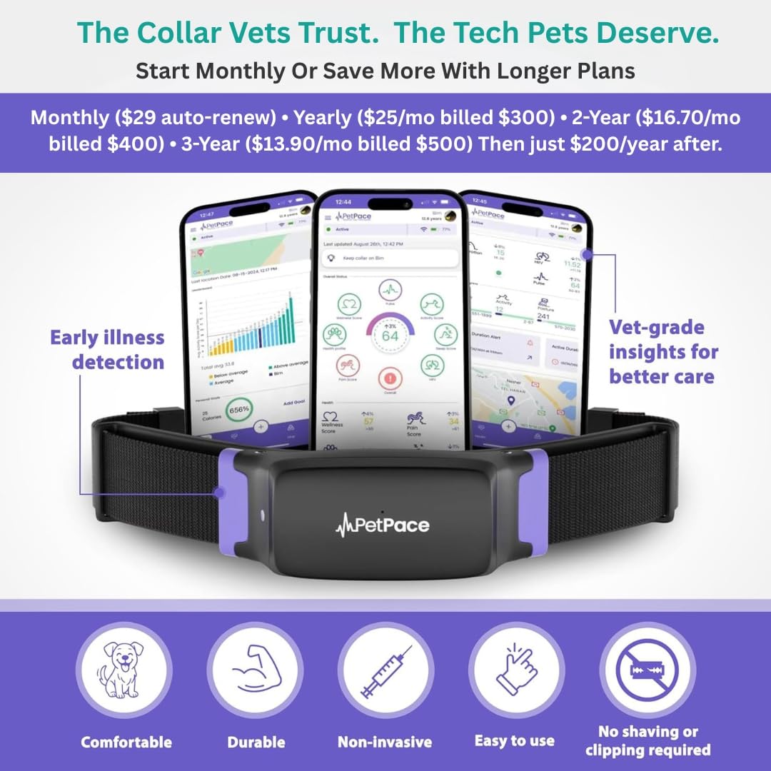 PetPace V3.0 AI Cat Health and Vital Signs Collar