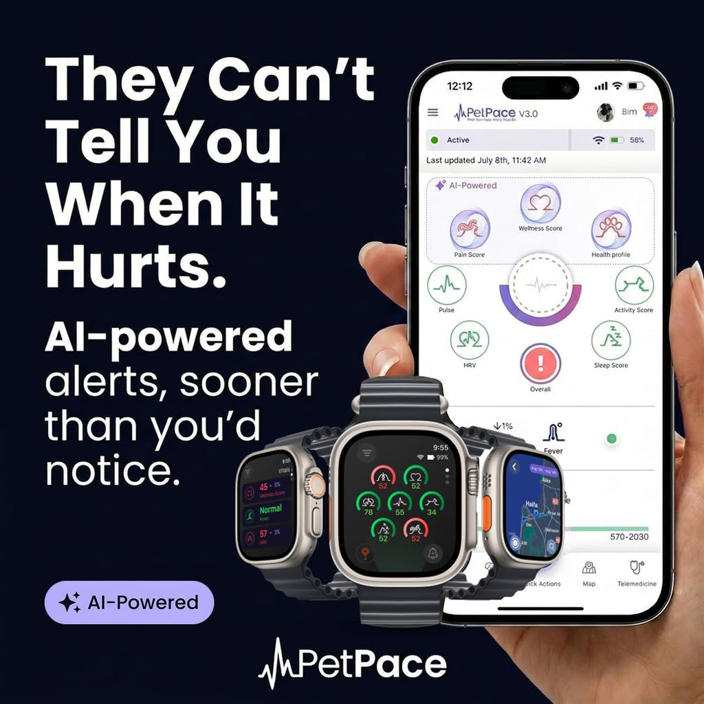PetPace V3.0 AI Dog Health and Vital Signs Collar