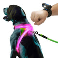 Noxgear LightHound Illuminated Reflective Dog Harness