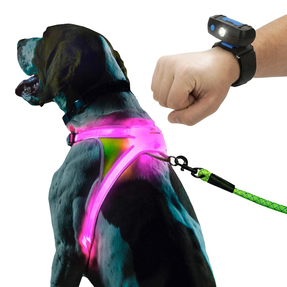 Noxgear LightHound Illuminated Reflective Dog Harness