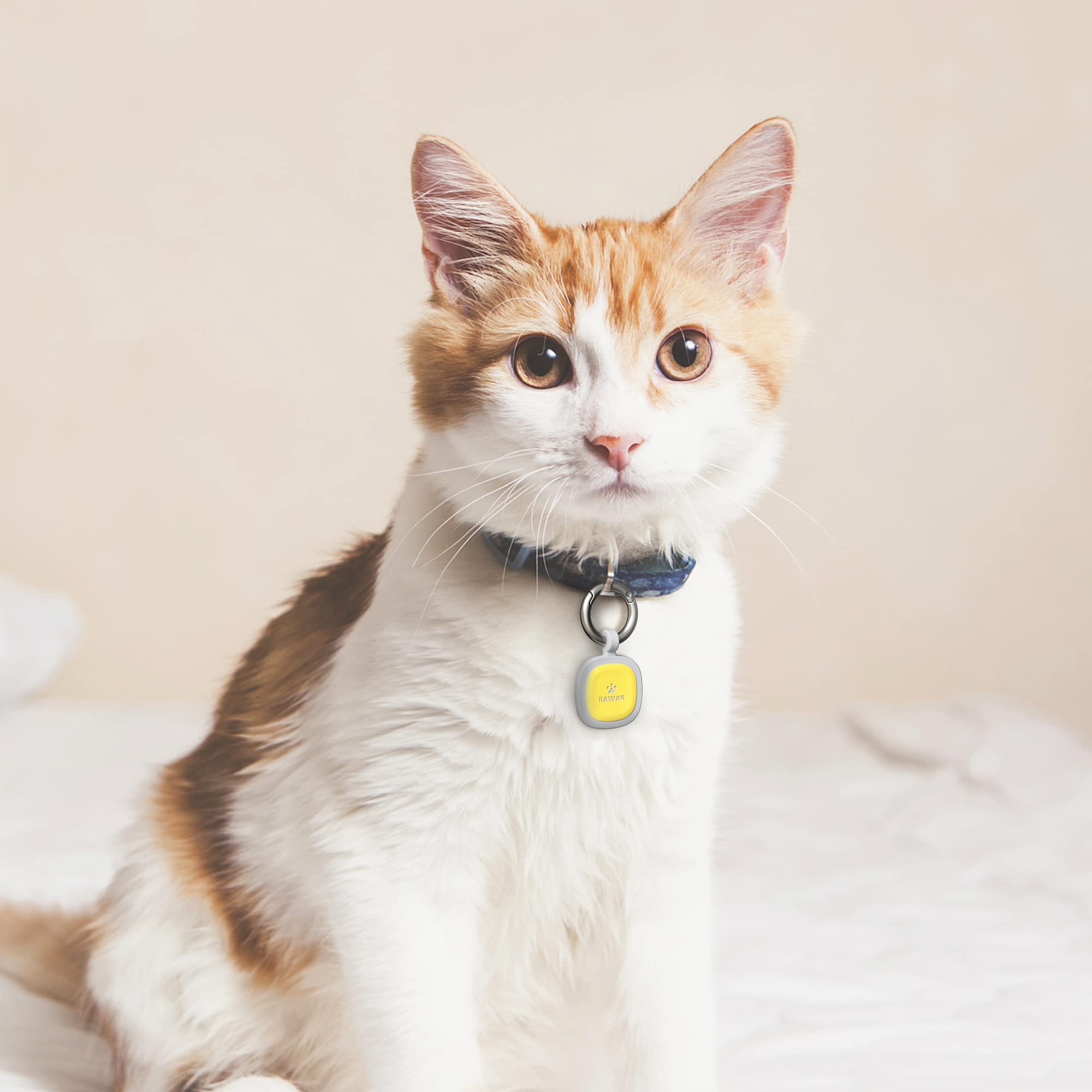 Pawaii QR Code Pet ID Tag All