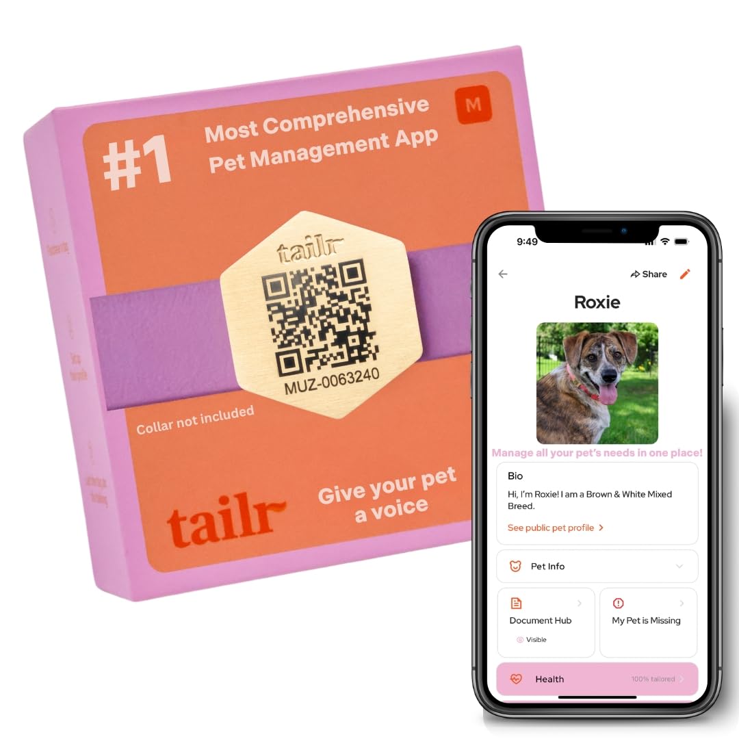 Gold Slide-On QR Pet ID Tag with Digital Health Profile