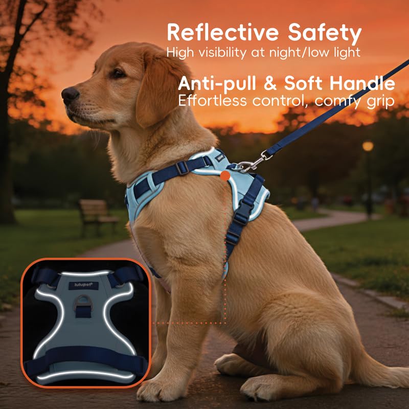 Lulupet Reflective Dog Harness, Leash and Collar Set