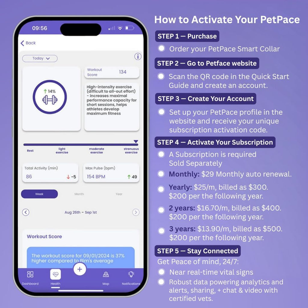 PetPace V3.0 AI Cat Health and Vital Signs Collar