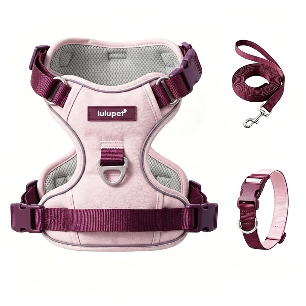 Lulupet Reflective Dog Harness, Leash and Collar Set