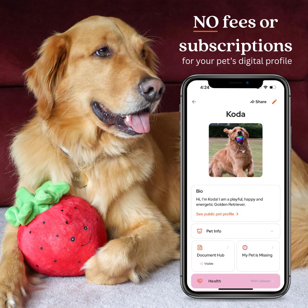 Gold Slide-On QR Pet ID Tag with Digital Health Profile