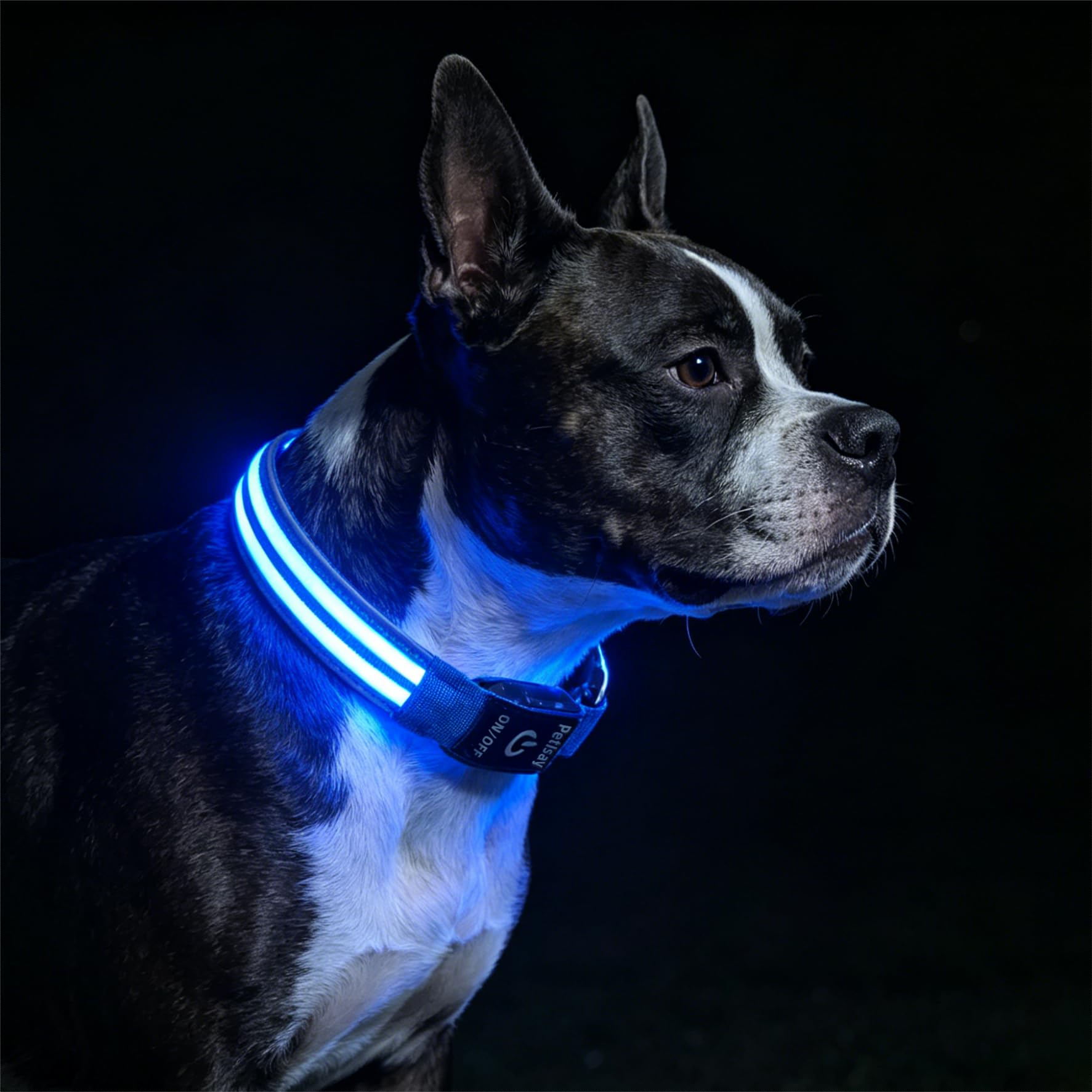 PetIsay Rechargeable Reflective LED Dog Collar