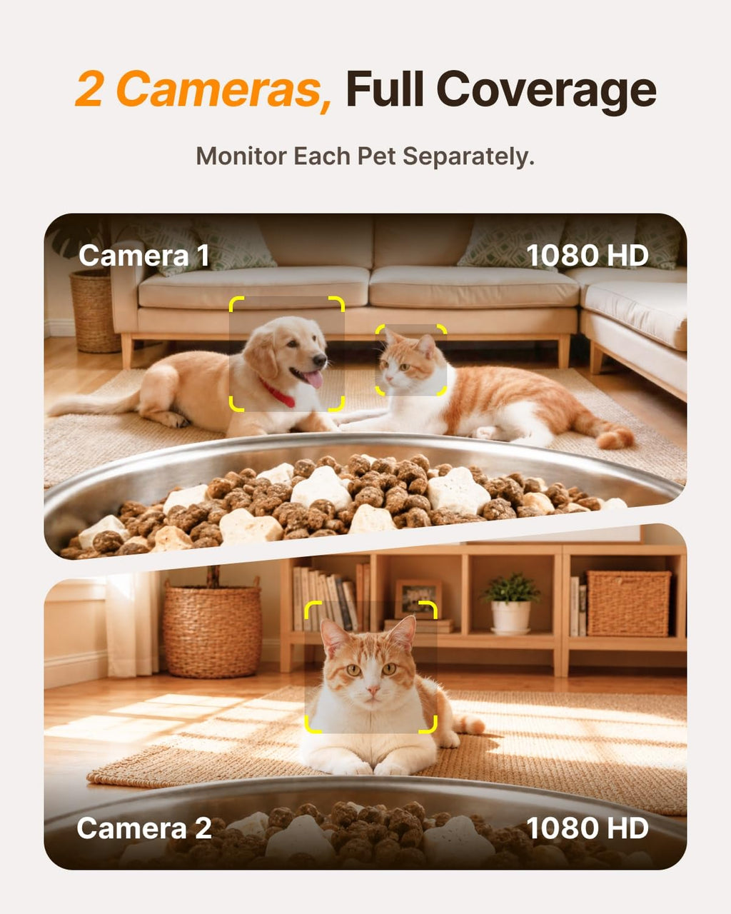 CATBOAT Automatic cat Feeder with 2 Cameras