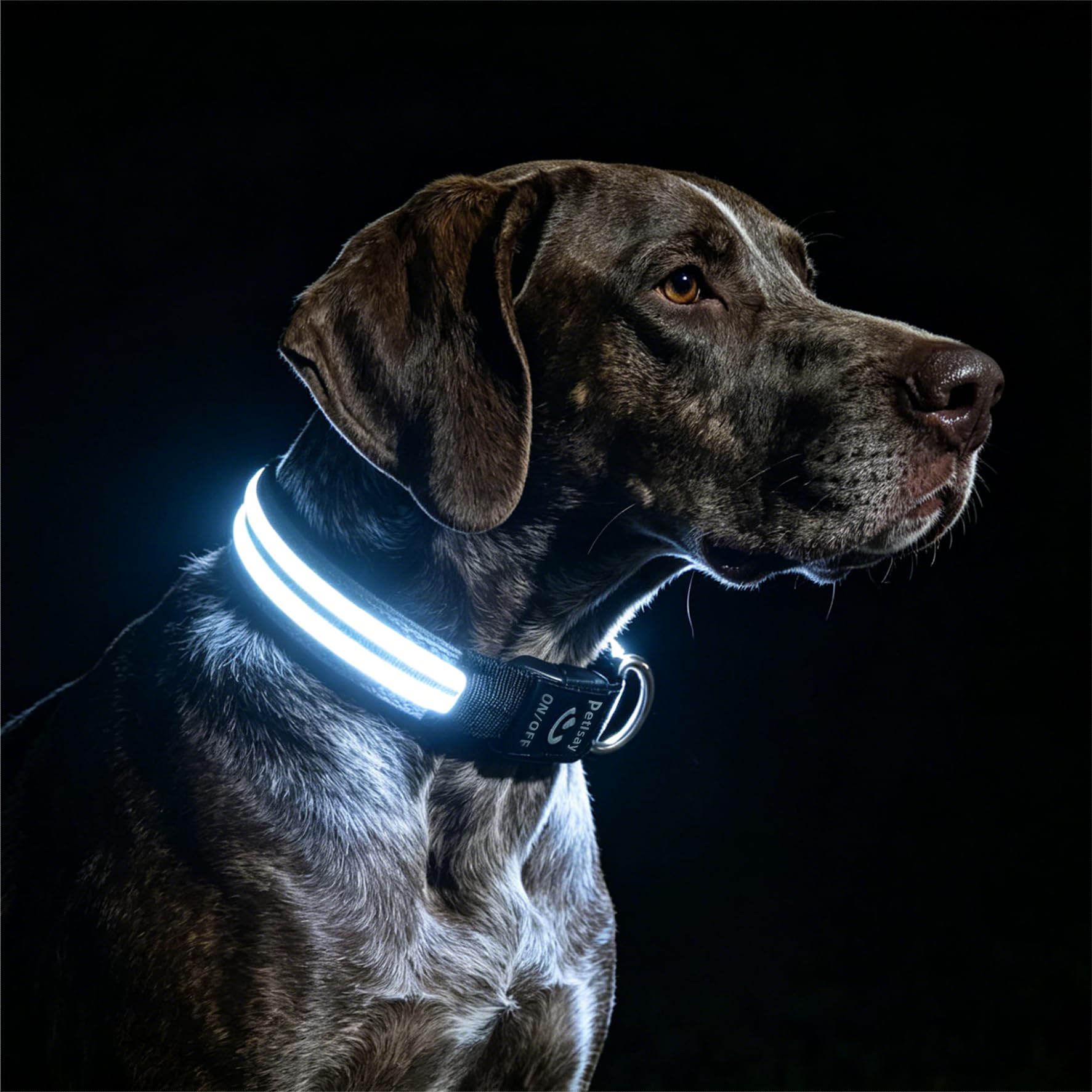 PetIsay Rechargeable Reflective LED Dog Collar