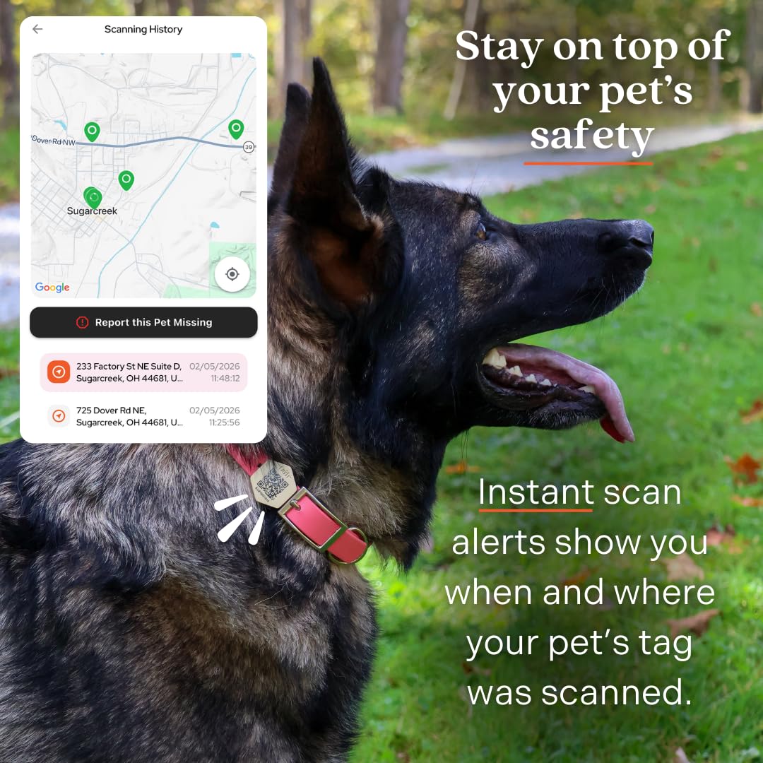 Gold Slide-On QR Pet ID Tag with Digital Health Profile