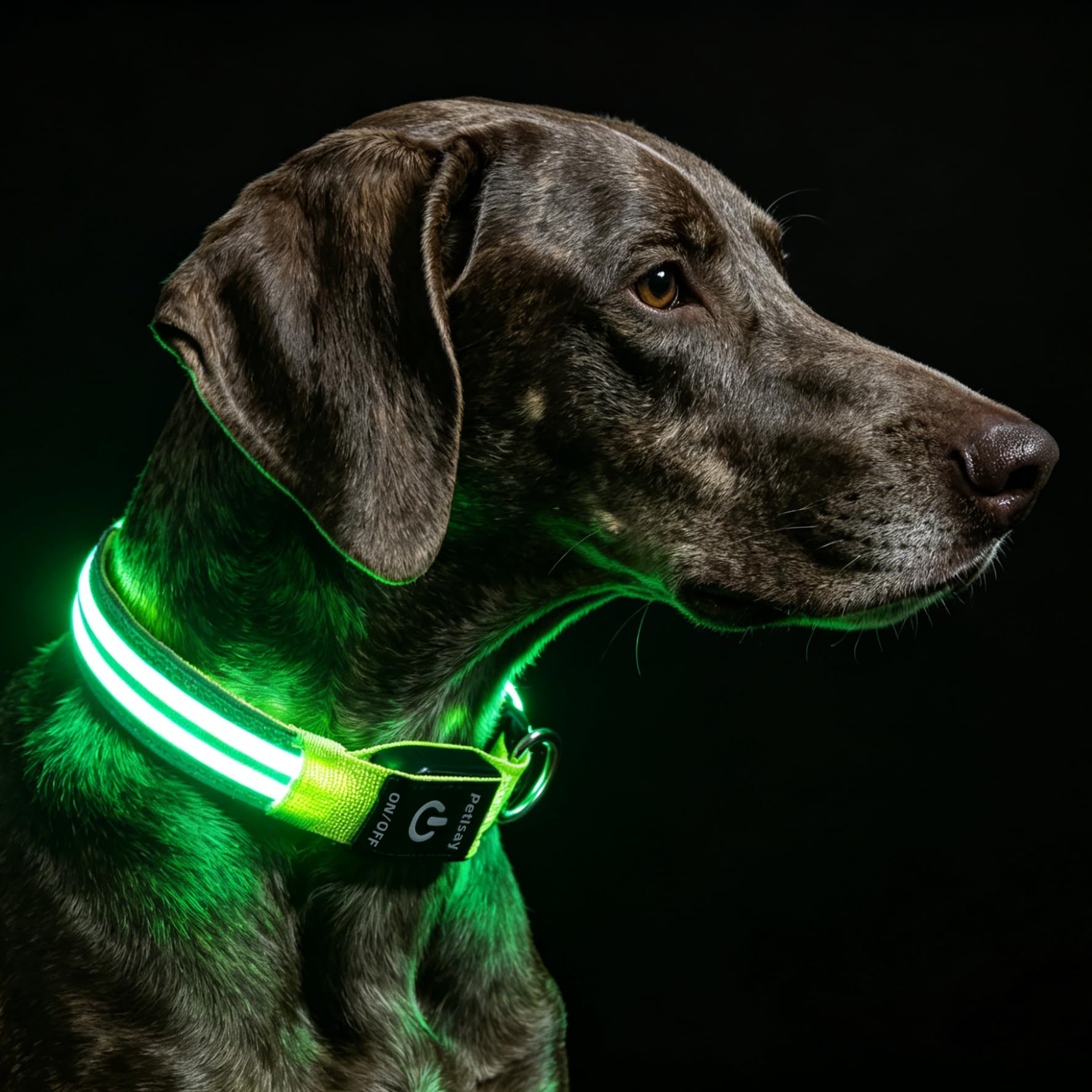 PetIsay Rechargeable Reflective LED Dog Collar
