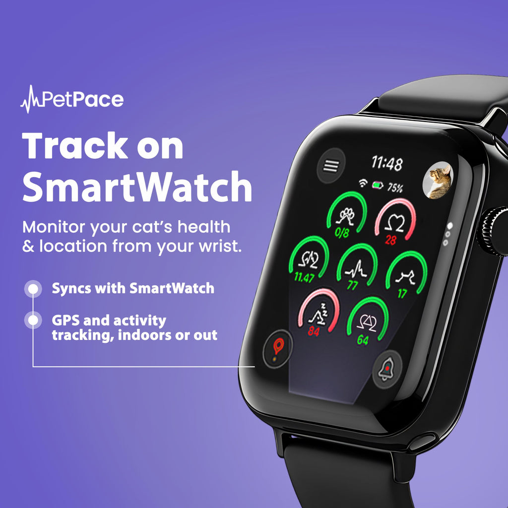 PetPace V3.0 AI Cat Health and Vital Signs Collar