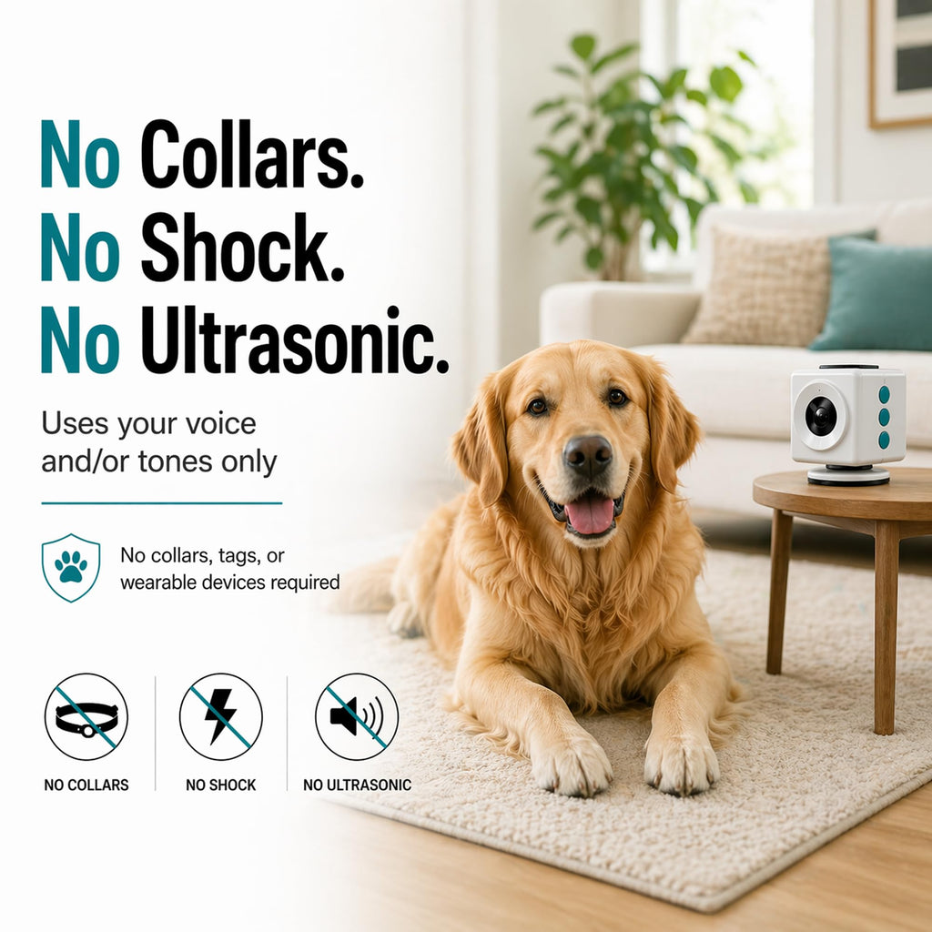 CHATRBOX Motion-Activated Voice Pet Training Device