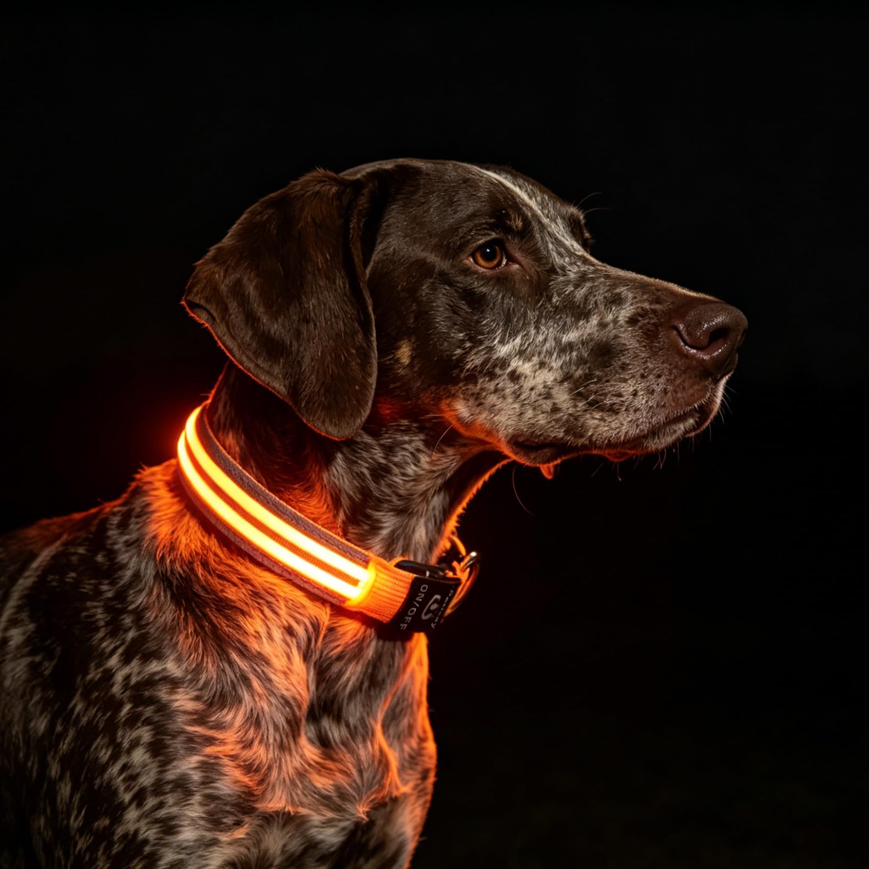PetIsay Rechargeable Reflective LED Dog Collar