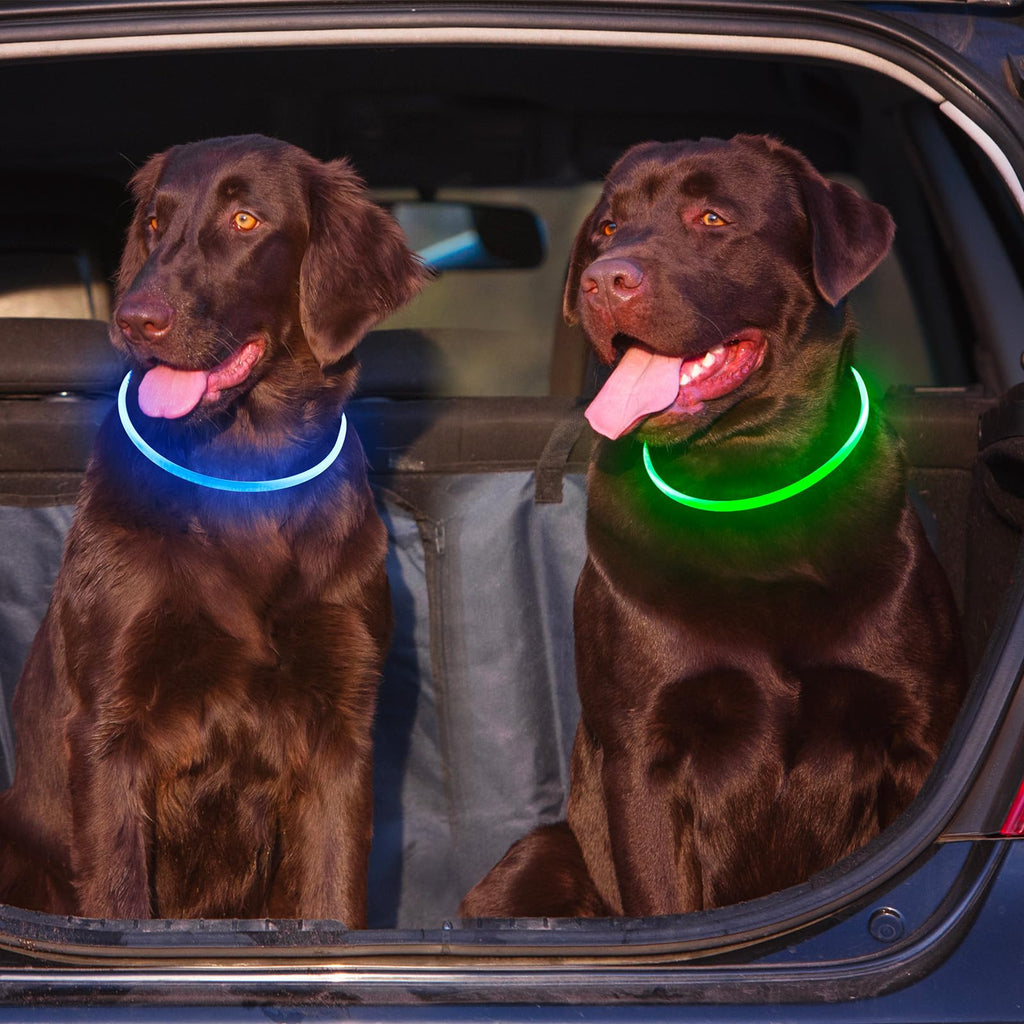 2-Pack High-Visibility LED Safety Collars for Dogs