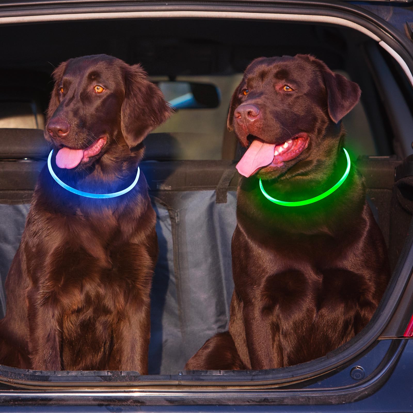 2-Pack High-Visibility LED Safety Collars for Dogs