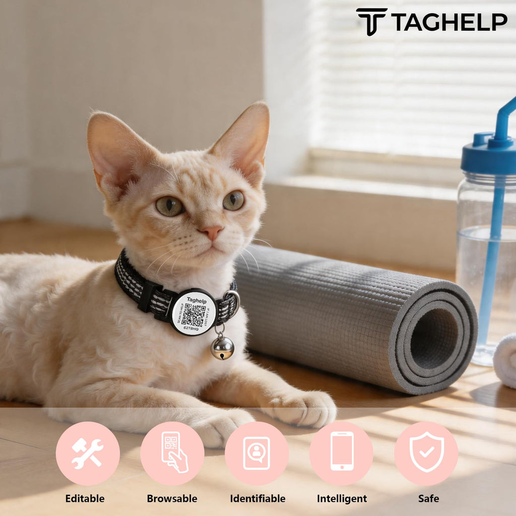 2 Pack cat Collar
