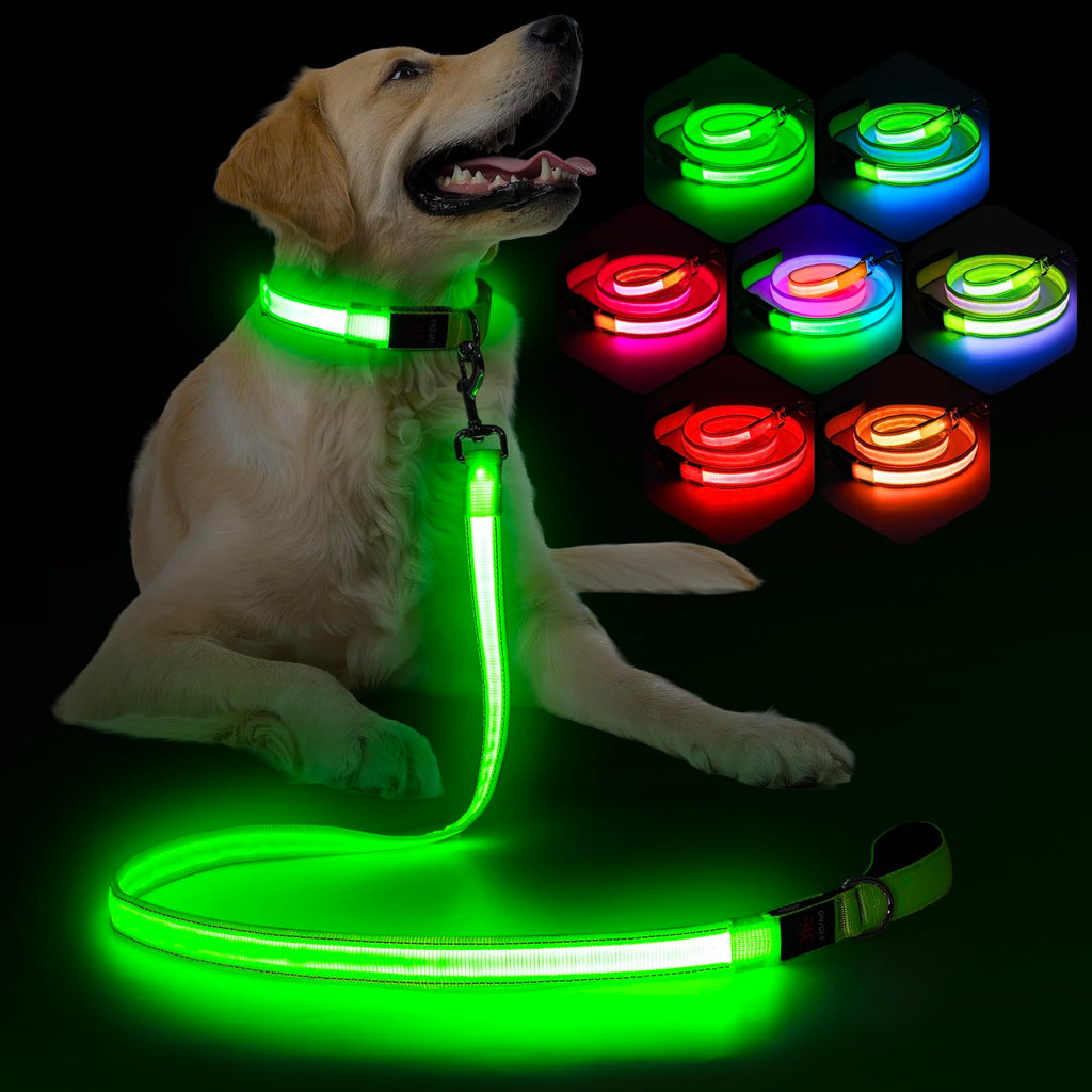 USB-C Rechargeable 13-Mode LED Dog Leash, 4 Feet