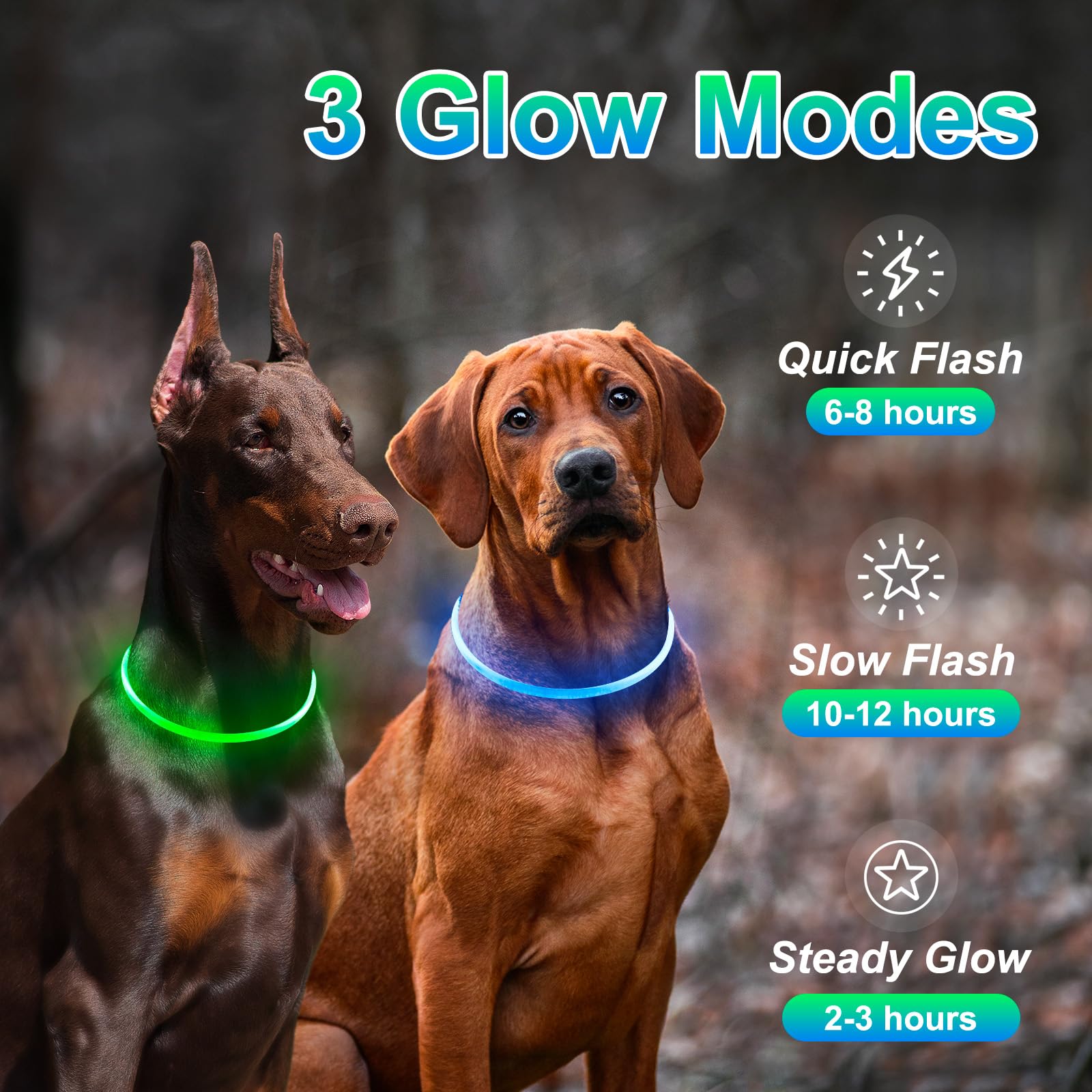 2-Pack High-Visibility LED Safety Collars for Dogs