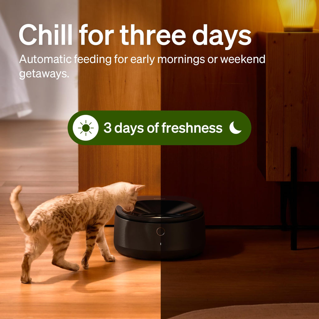 PETLIBRO Automatic Cat Feeder Wet Food with Stainless Steel Bowl, Refrigerated Auto Cat Feeder with Semiconductor Cooling