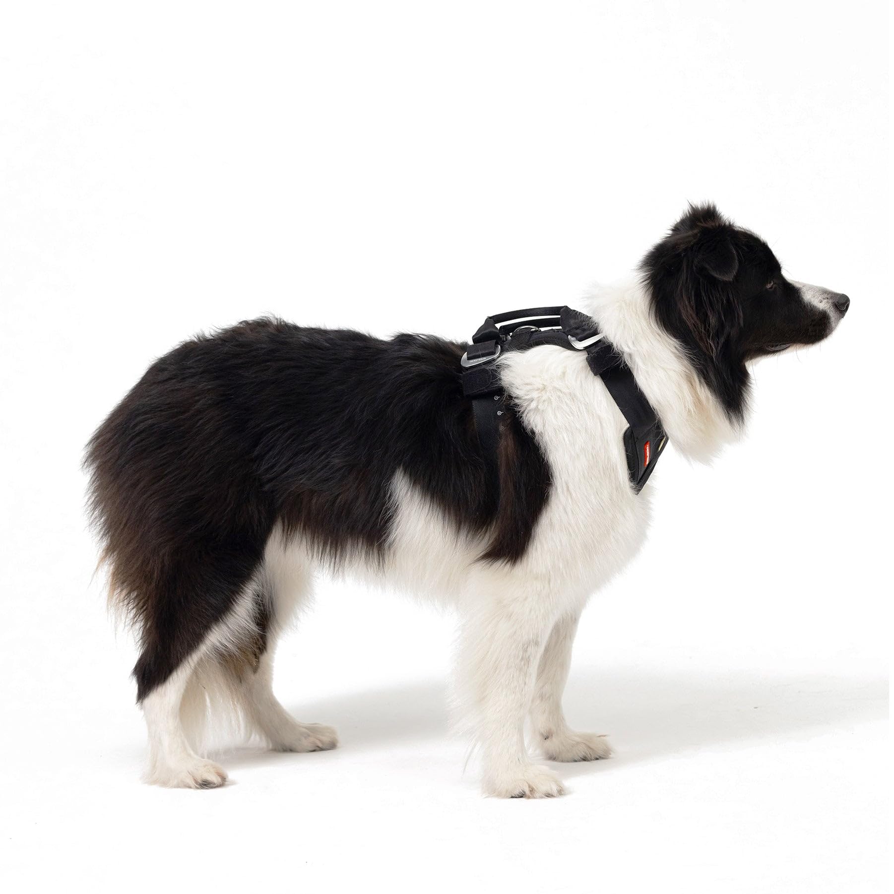 EzyDog Drive Certified Crash-Tested Dog Car Harness