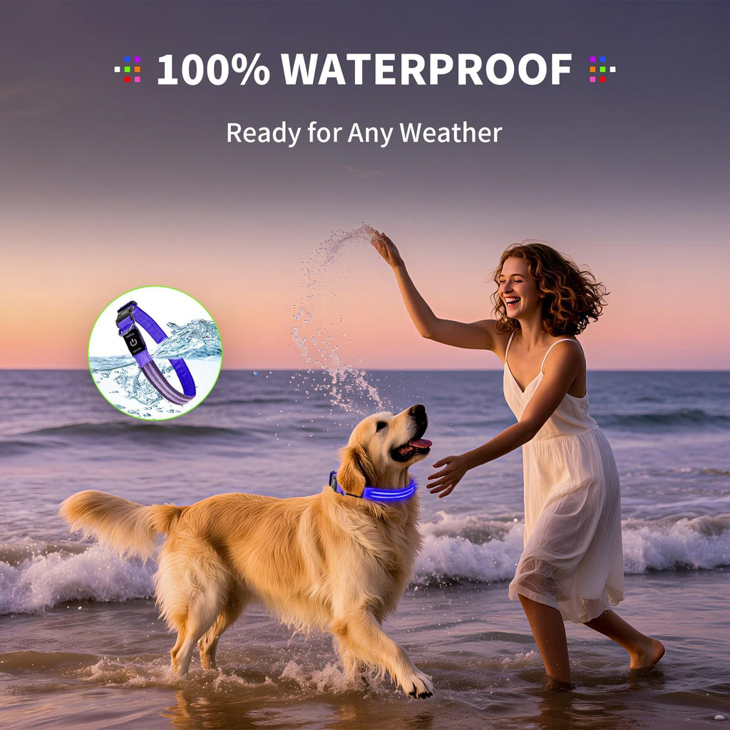 PetIsay Rechargeable Reflective LED Dog Collar