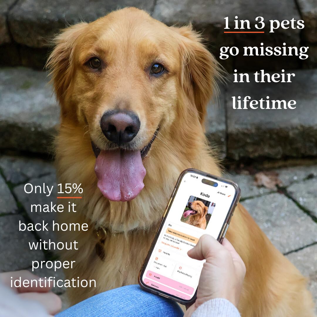 Gold Slide-On QR Pet ID Tag with Digital Health Profile