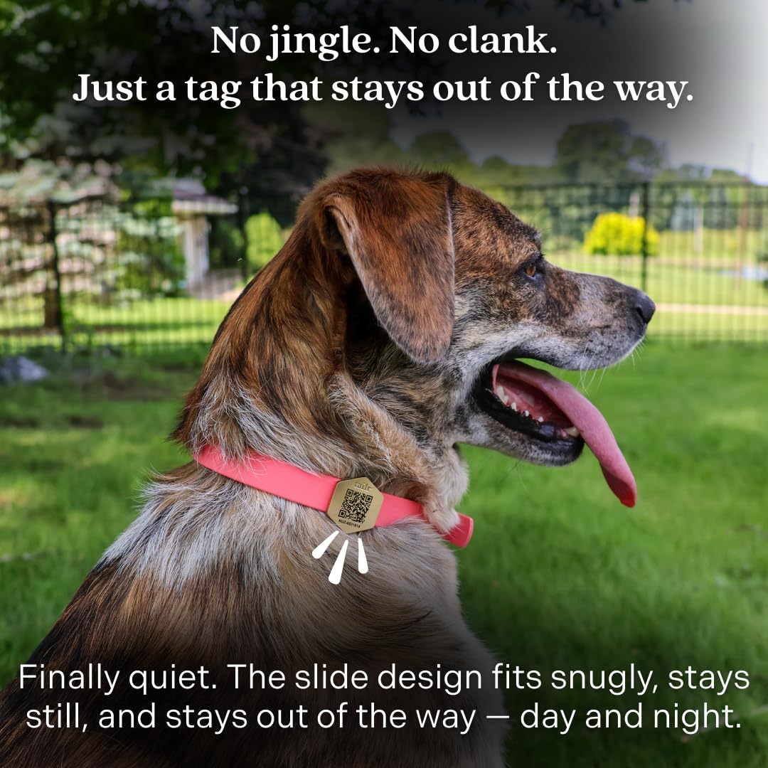 Gold Slide-On QR Pet ID Tag with Digital Health Profile