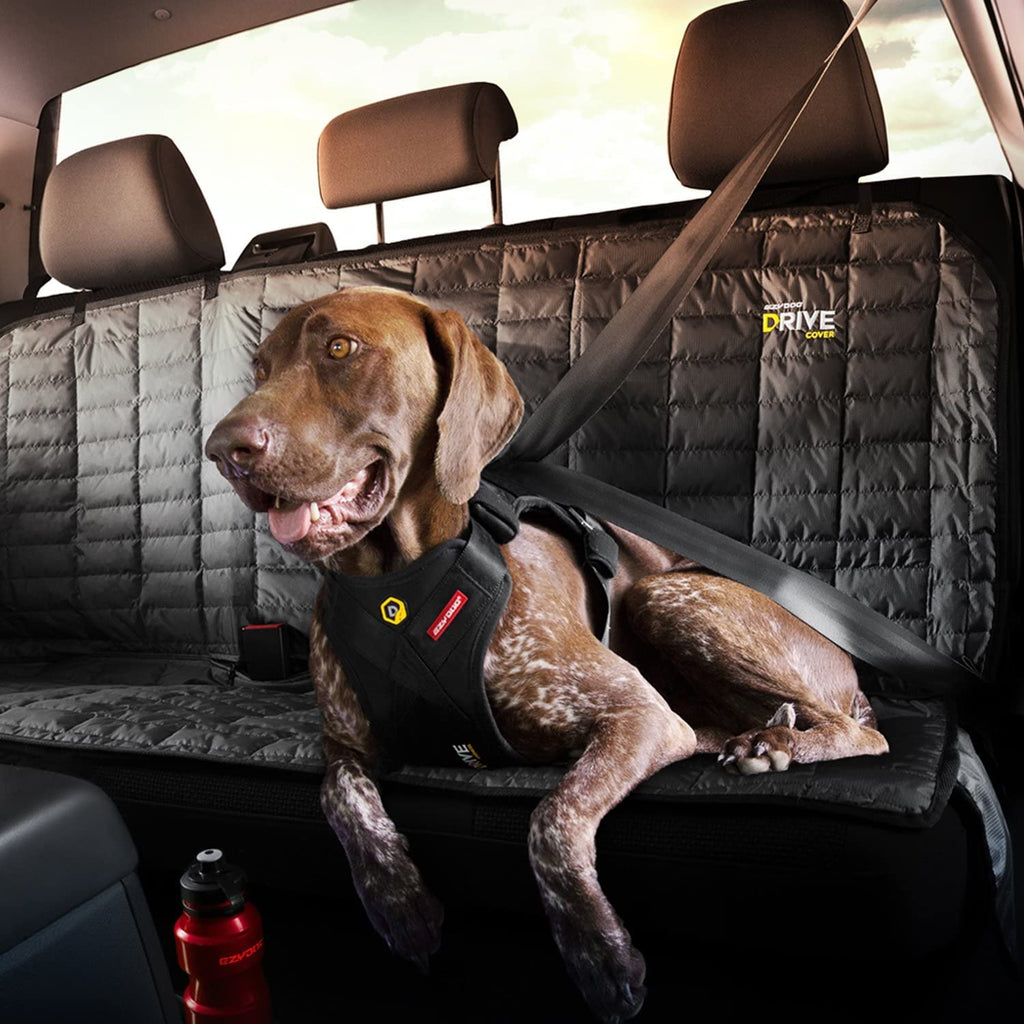 EzyDog Drive Certified Crash-Tested Dog Car Harness