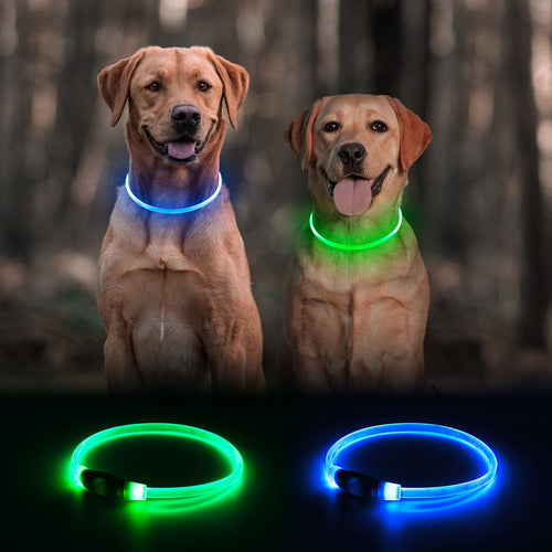 2-Pack High-Visibility LED Safety Collars for Dogs
