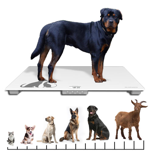 AG Instruments D-Series Digital Animal Floor Scale
