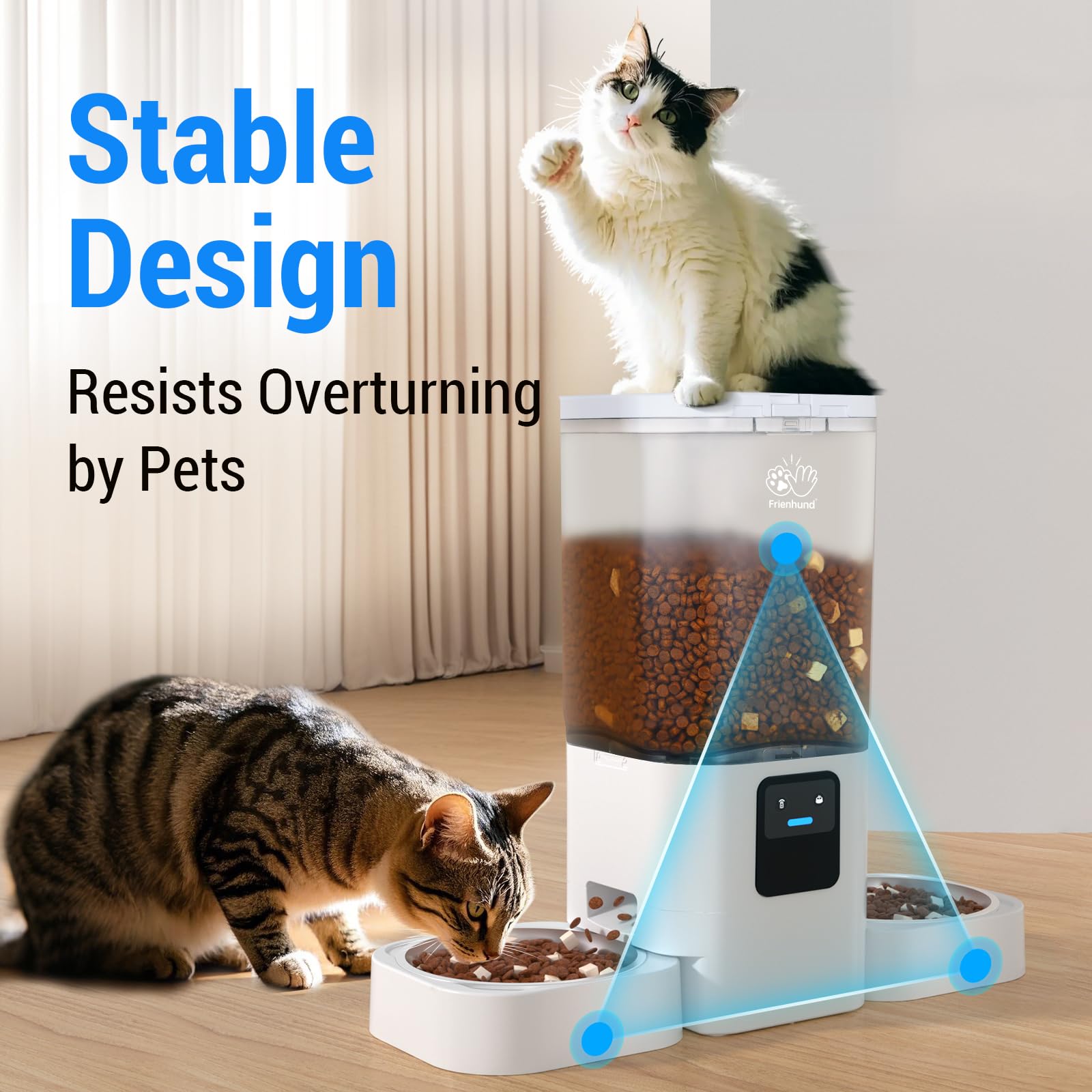 Frienhund Automatic Cat Feeder: Automatic Dog Feeder