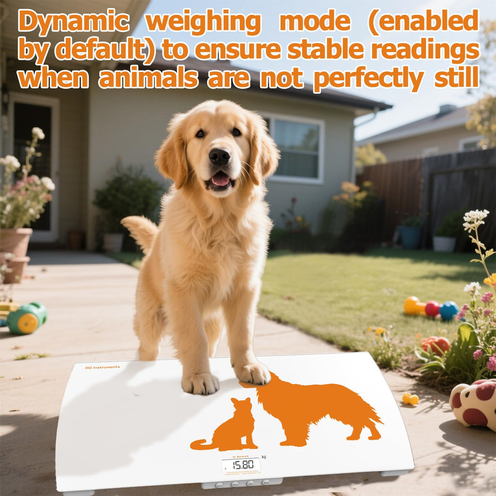 AG Instruments D-Series Digital Animal Floor Scale