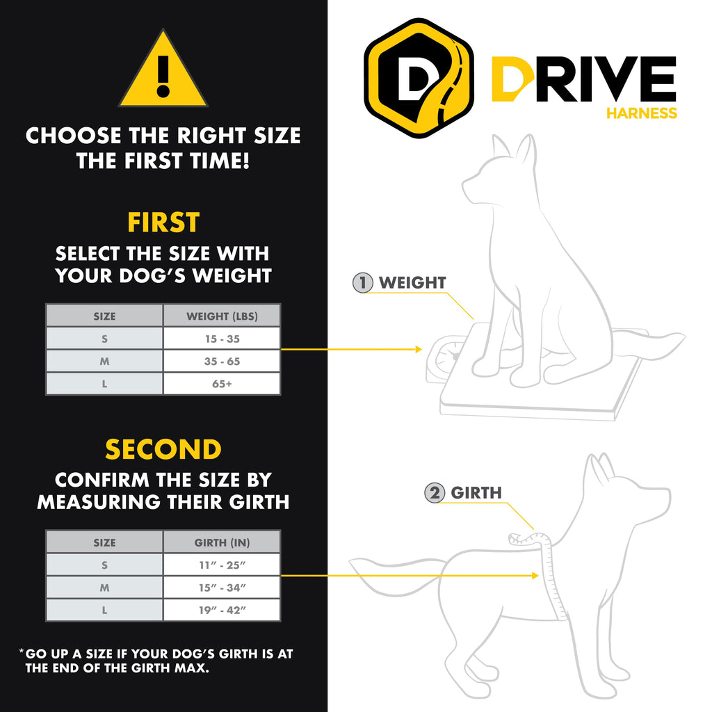 EzyDog Drive Certified Crash-Tested Dog Car Harness