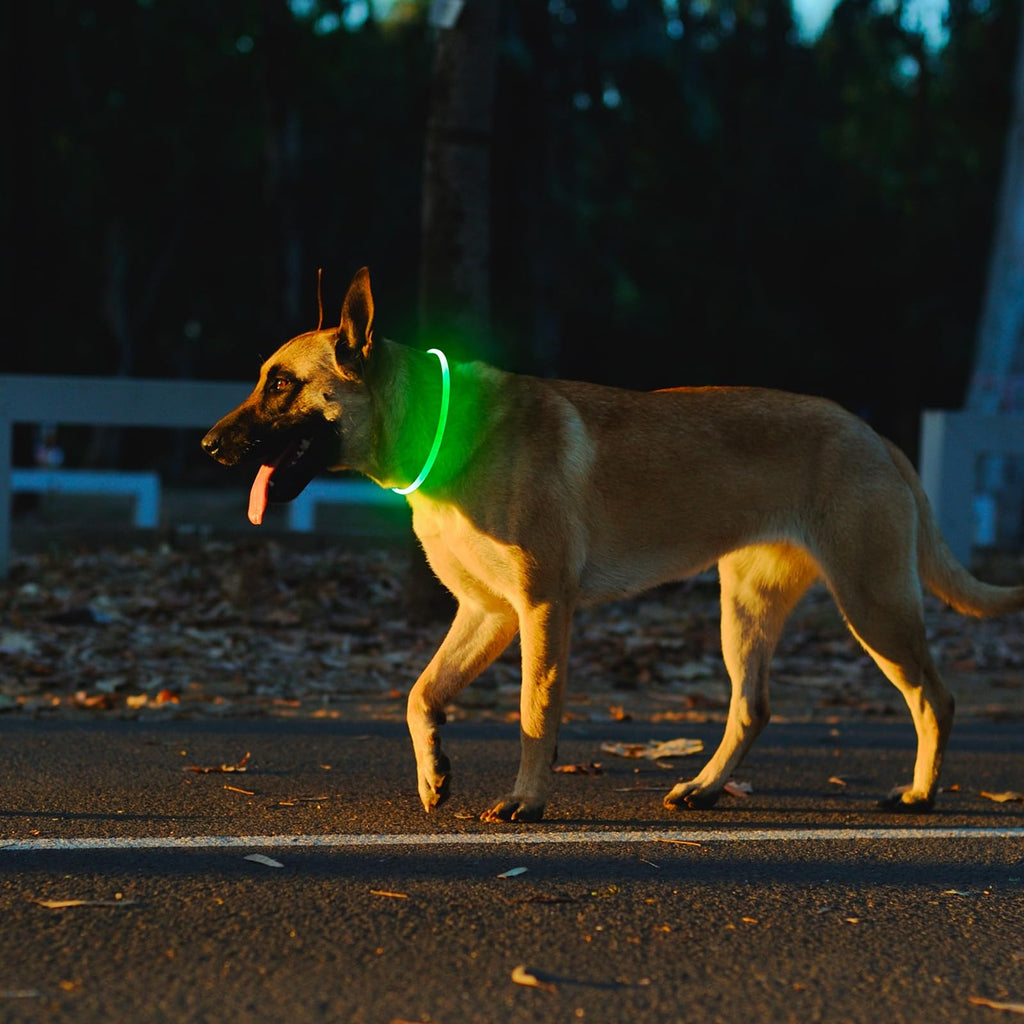 2-Pack High-Visibility LED Safety Collars for Dogs