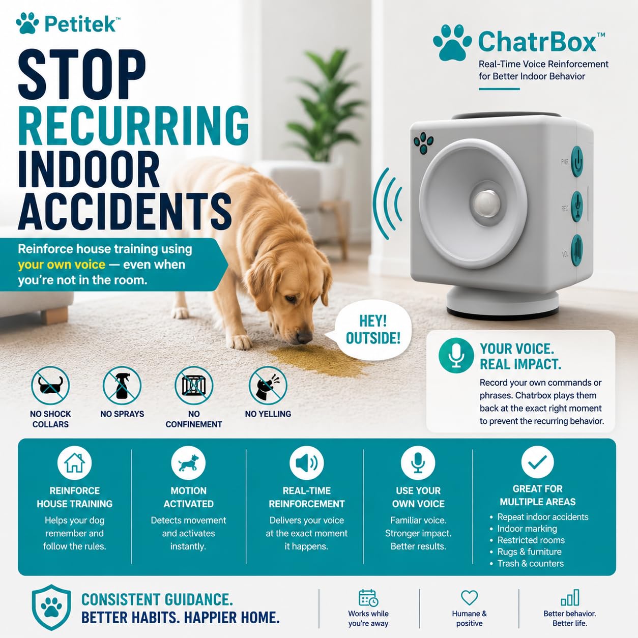 CHATRBOX Motion-Activated Voice Pet Training Device