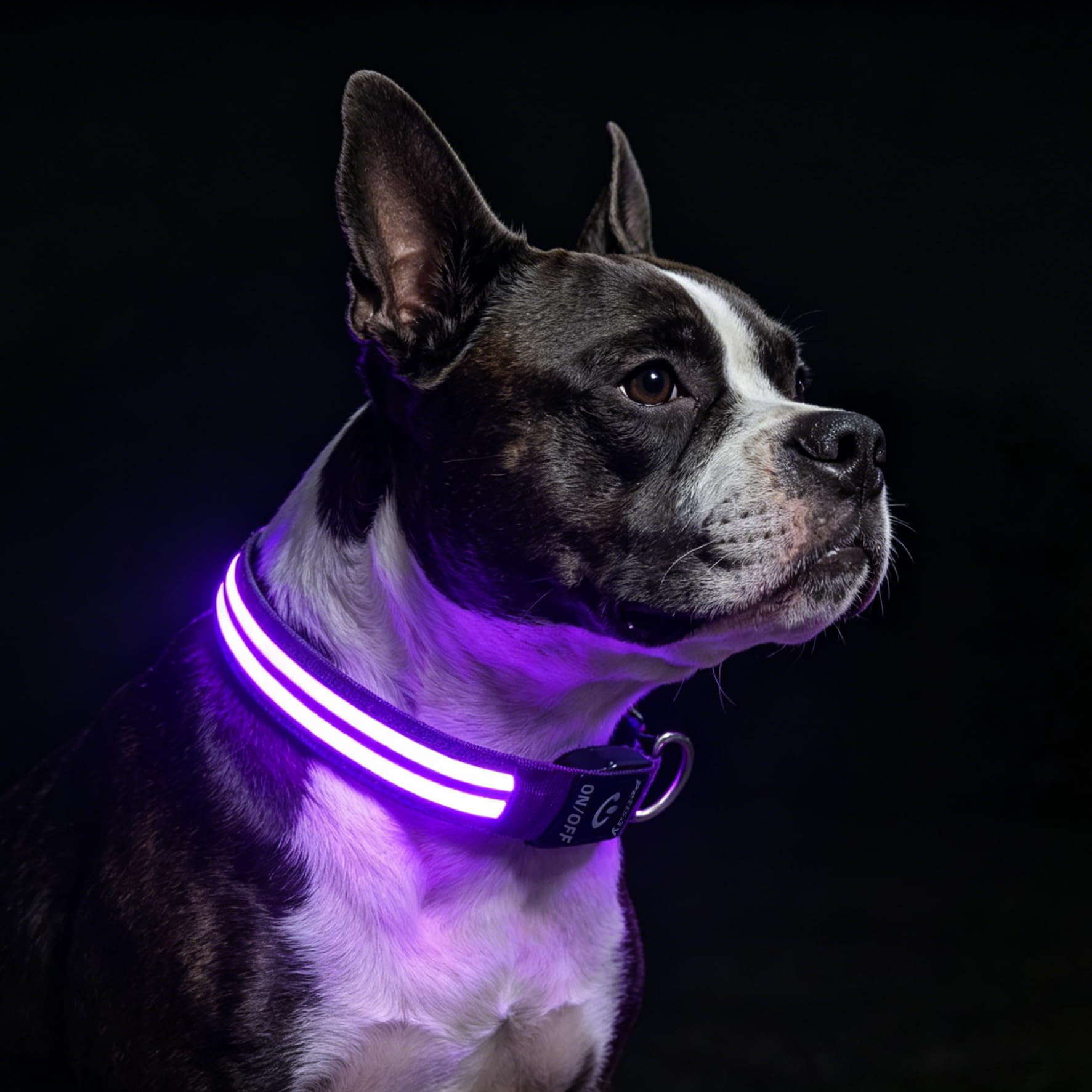 PetIsay Rechargeable Reflective LED Dog Collar