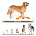 AG Instruments D-Series Digital Animal Floor Scale