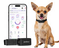 PetPace V3.0 AI Dog Health and Vital Signs Collar