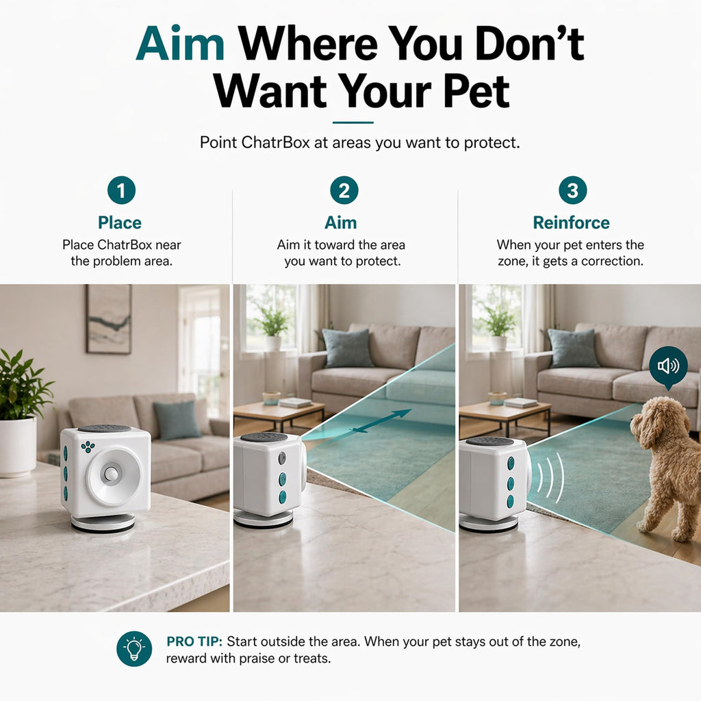CHATRBOX Motion-Activated Voice Pet Training Device