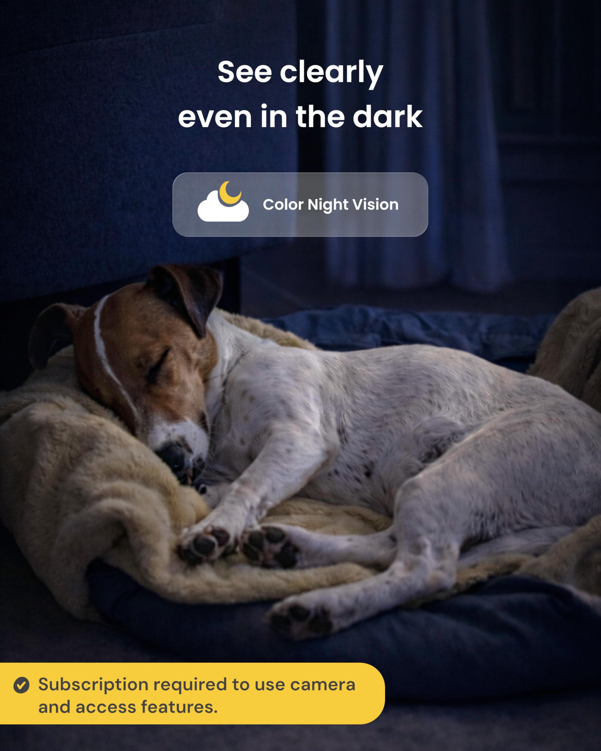 Furbo 360° Dog Camera + Mini [New Subscription Required at Setup] 2-Camera Bundle Nanny Subscription: Dog Safety & Home Security Alerts, Pet Camera with Speaker, Phone App & Night Vision